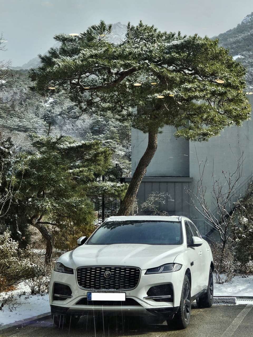 2023 재규어 F-PACE P250 SE 이미지1