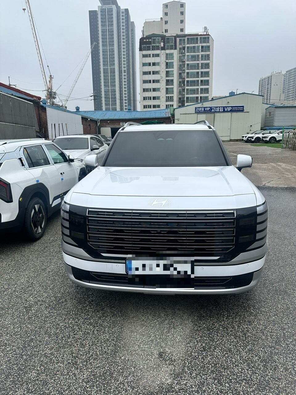 팰리세이드 하브 7인승 이미지1