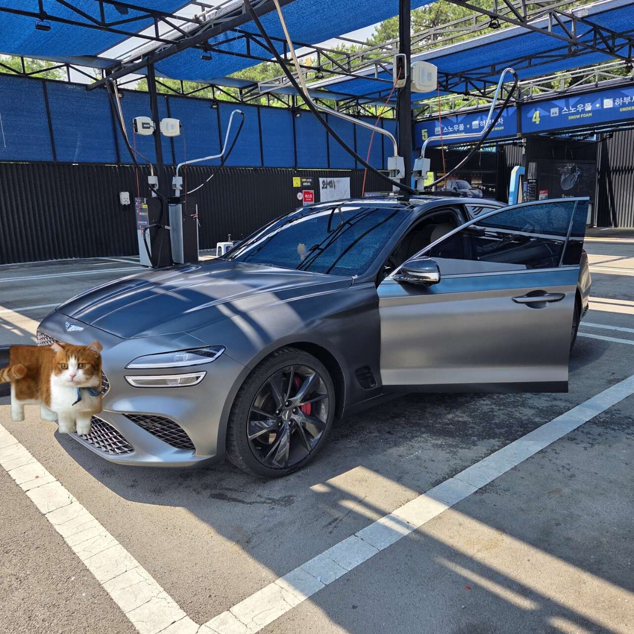 G70 3.3T 스포츠 AWD 이미지4