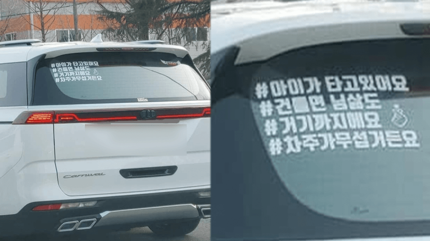 카니발 과학인지 아닌지 쉽게 구분하는 방법  썸네일