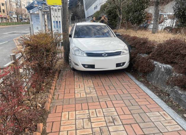 카니발 과학인지 아닌지 쉽게 구분하는 방법  썸네일