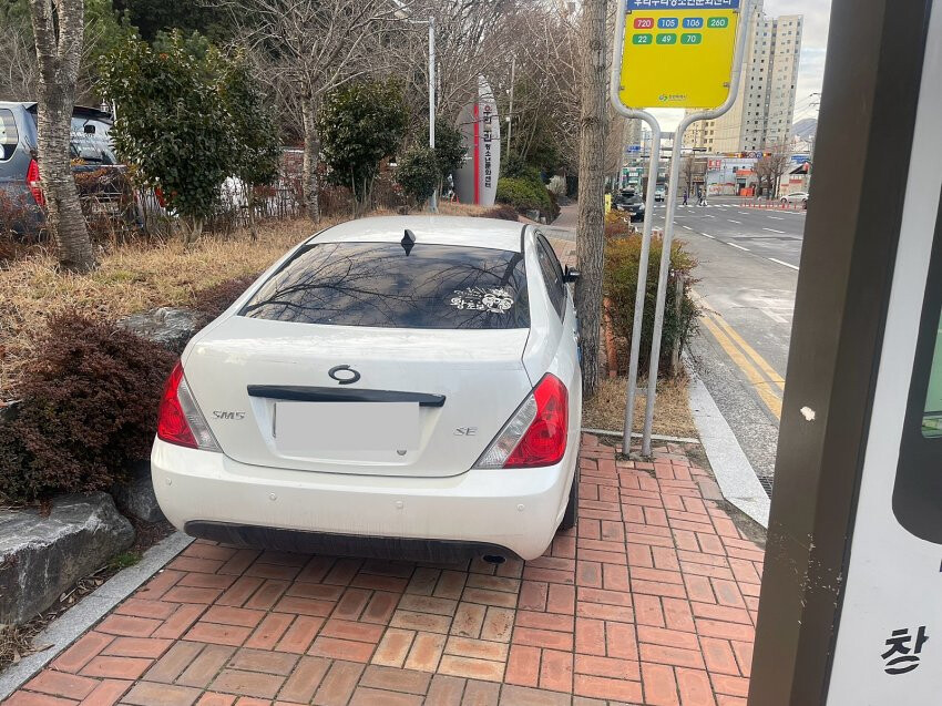 카니발 과학인지 아닌지 쉽게 구분하는 방법  썸네일