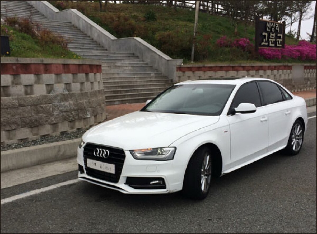 아우디 오너들 특징jdf (‼️‼️audi‼️) 썸네일