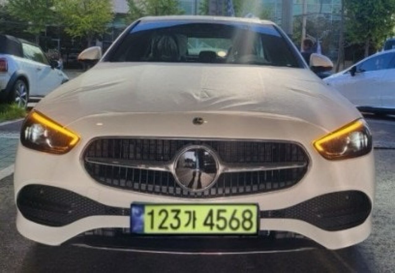녹색 번호판때문에 옵션 더 넣는 경우 많나요? 게시글 썸네일