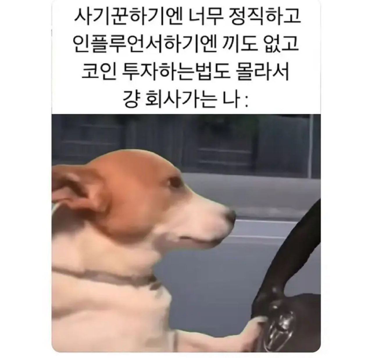 국산차 오너들 특징 게시글 썸네일