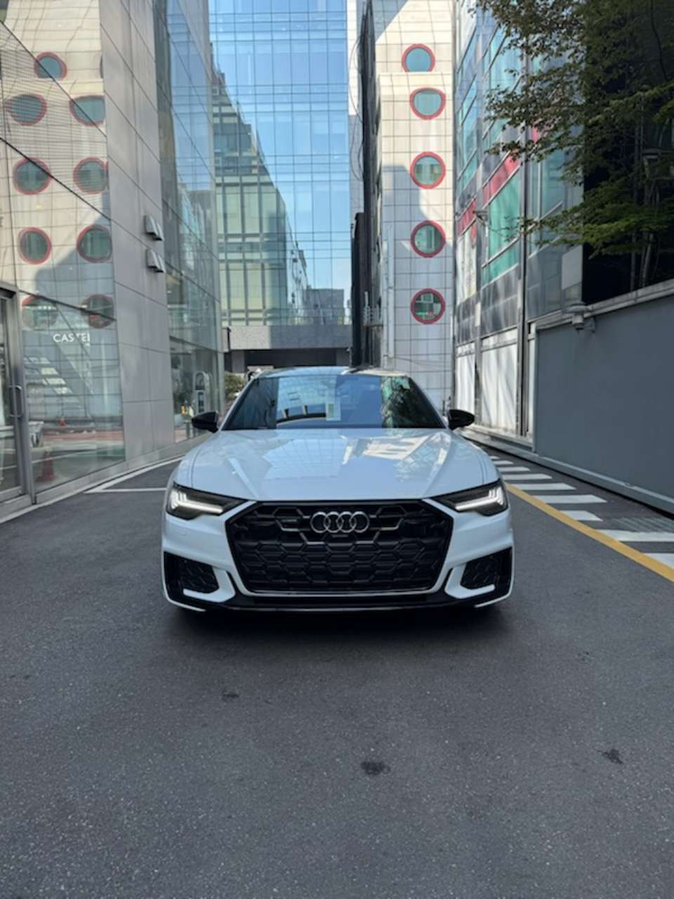 끝물 a6 후기 썸네일 이미지