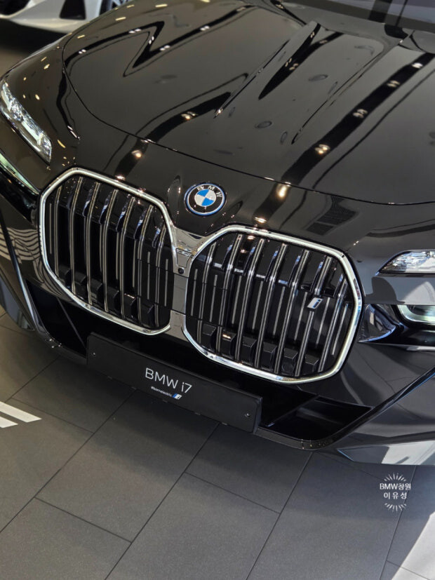 BMW 콧구멍은 왜 막혀있는 거에요? 게시글 썸네일