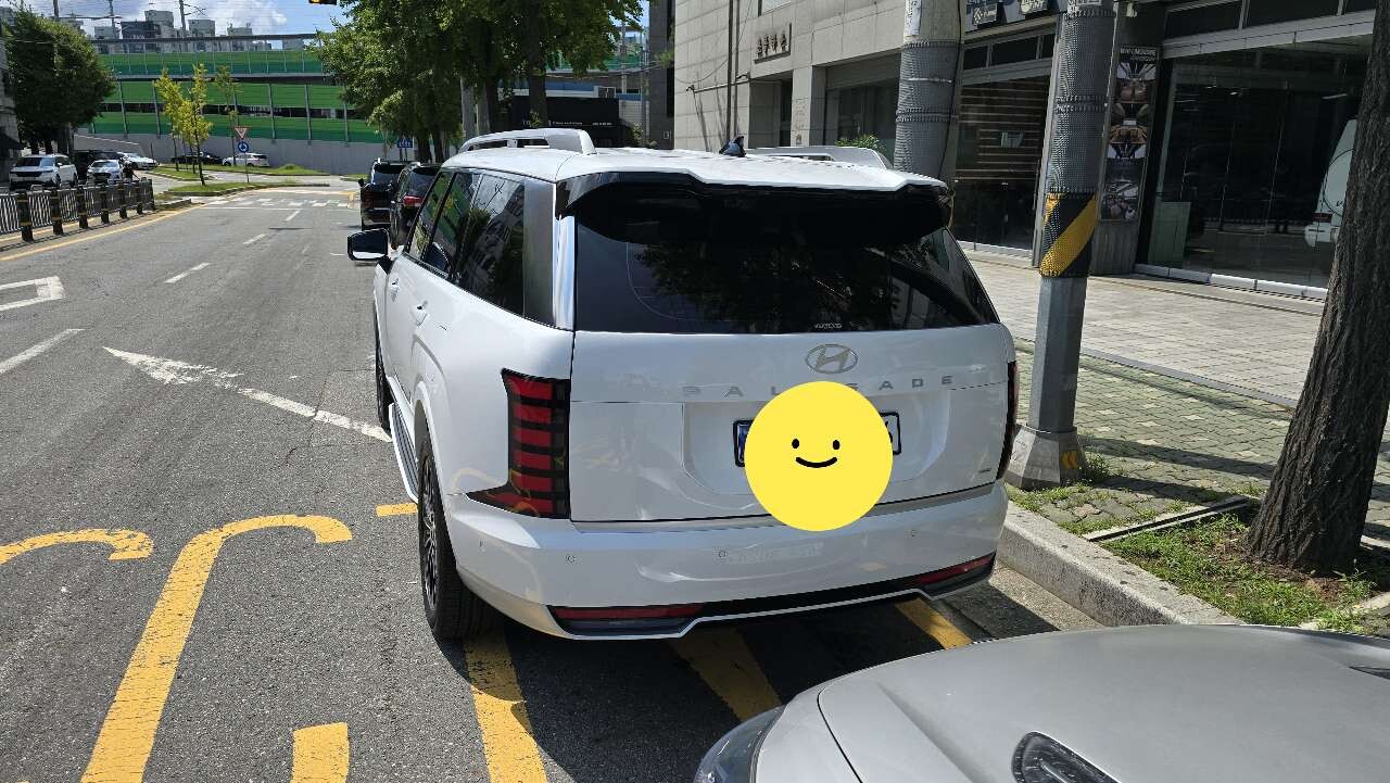 디올뉴팰리세이드 출고 이미지1