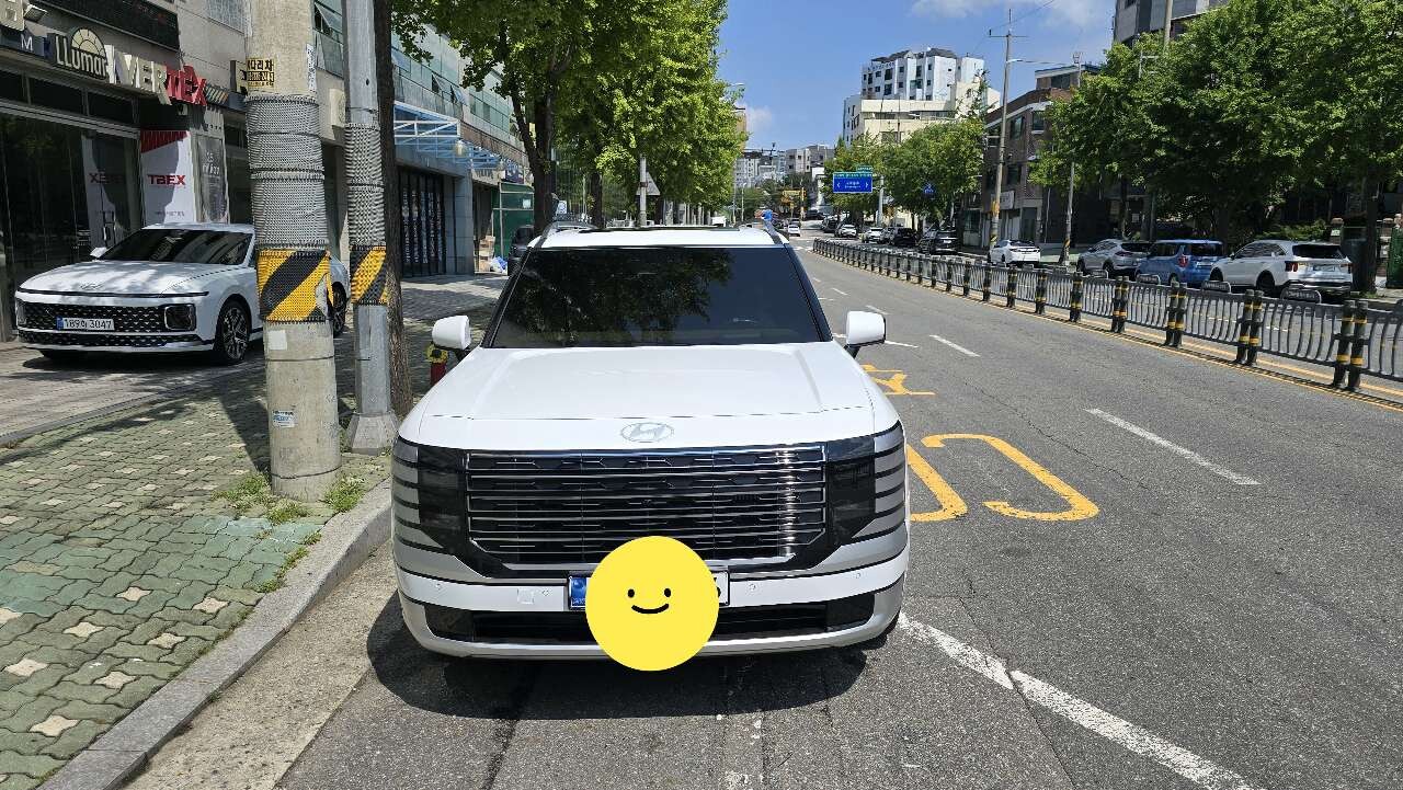 디올뉴팰리세이드 출고 썸네일