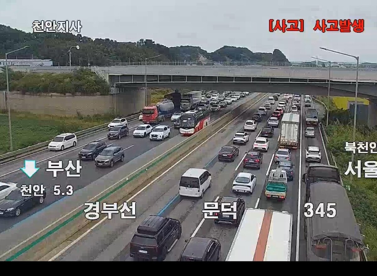 명절 고속도로 진짜 수입차가 없긴하네 썸네일