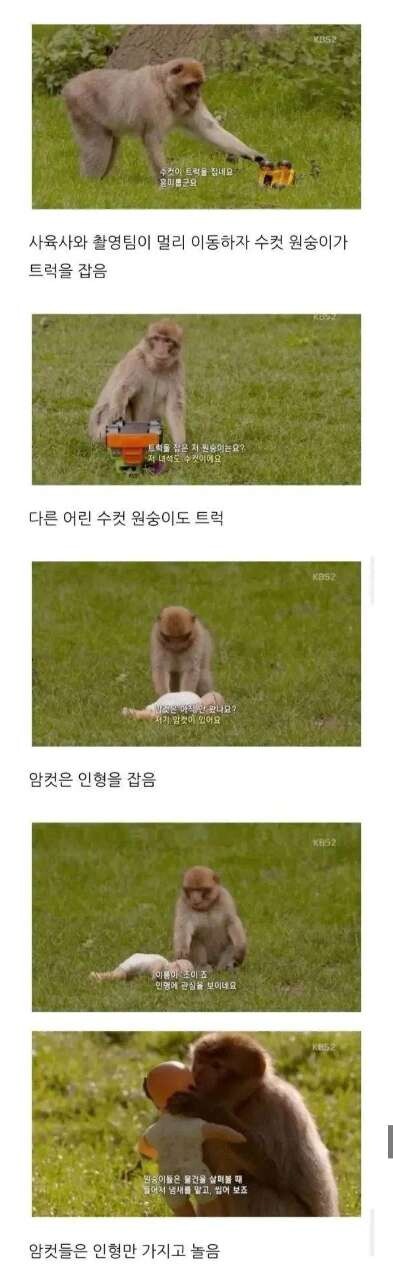 BBC가 실험한 남여의 차이 게시글 썸네일