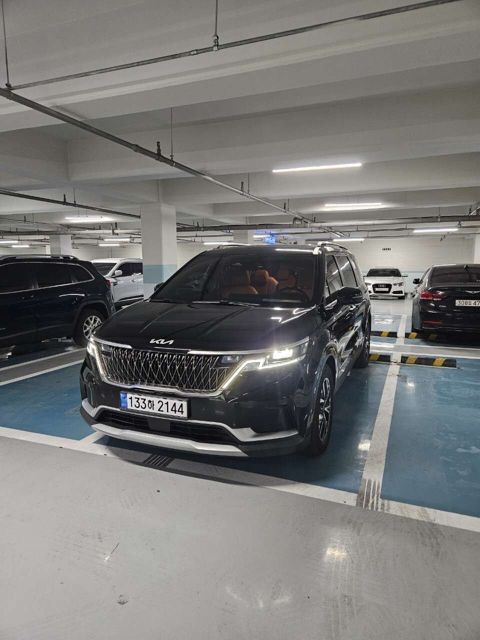 [카니발 2.2 디젤 9인승 - 편안하고 실용적인 가족 및 단체 여행 차량 대여] 게시글 썸네일