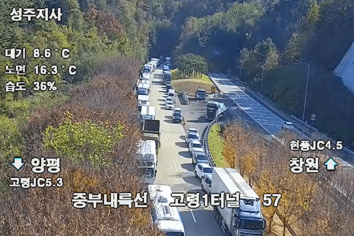 길터주기 잘 되고있네요 굿 썸네일