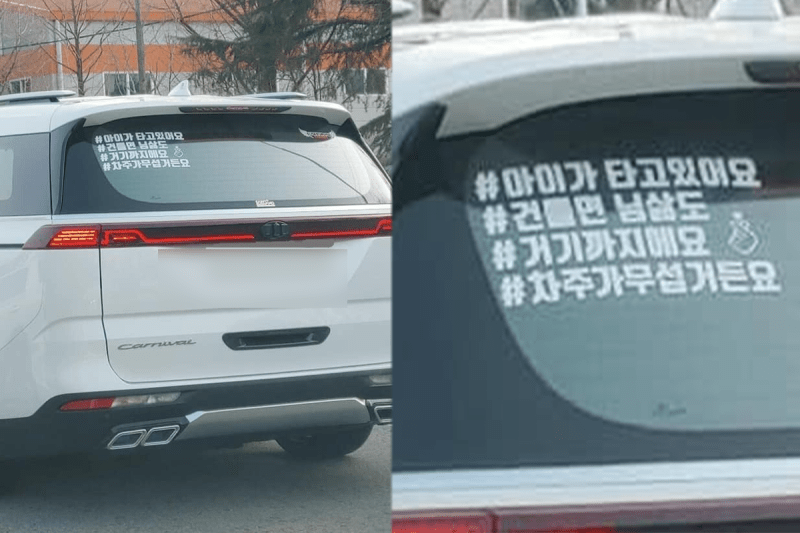 카니발은 체급만 믿고 도로에서 너무 깝치고 다니네요  썸네일