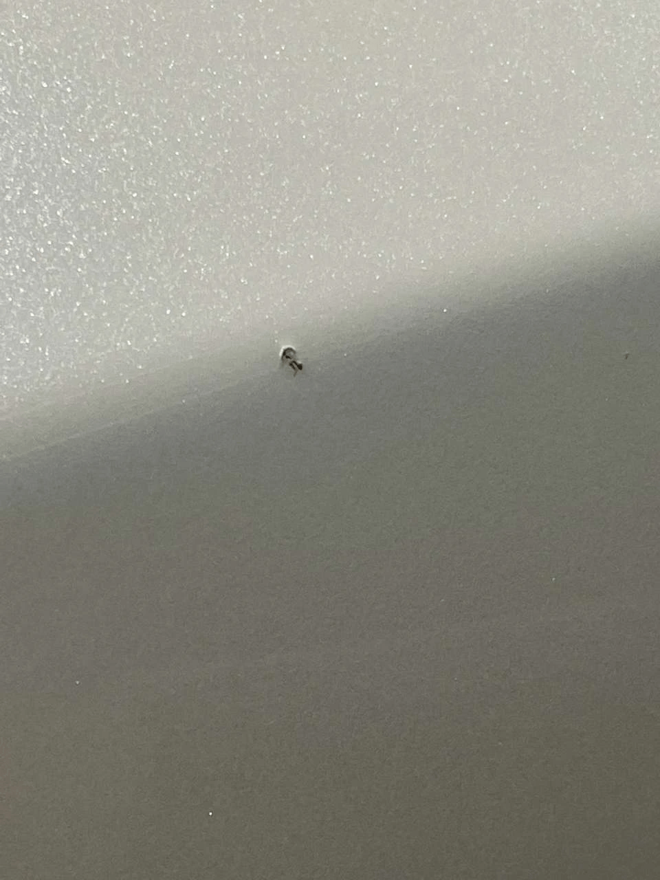 돌빵 엄청 많이 생겼어요 ;; 게시글 썸네일