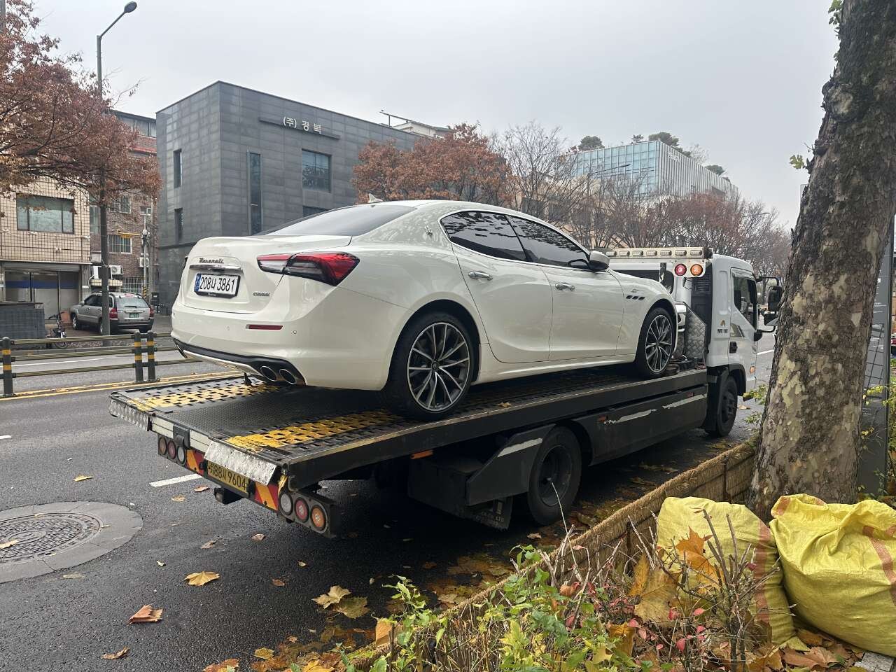 기블리 이미지5