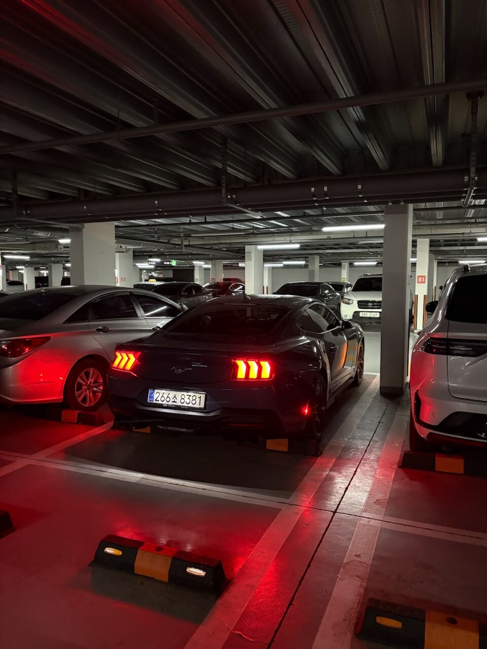 7세대 머스탱 에코를 고민한다면 썸네일