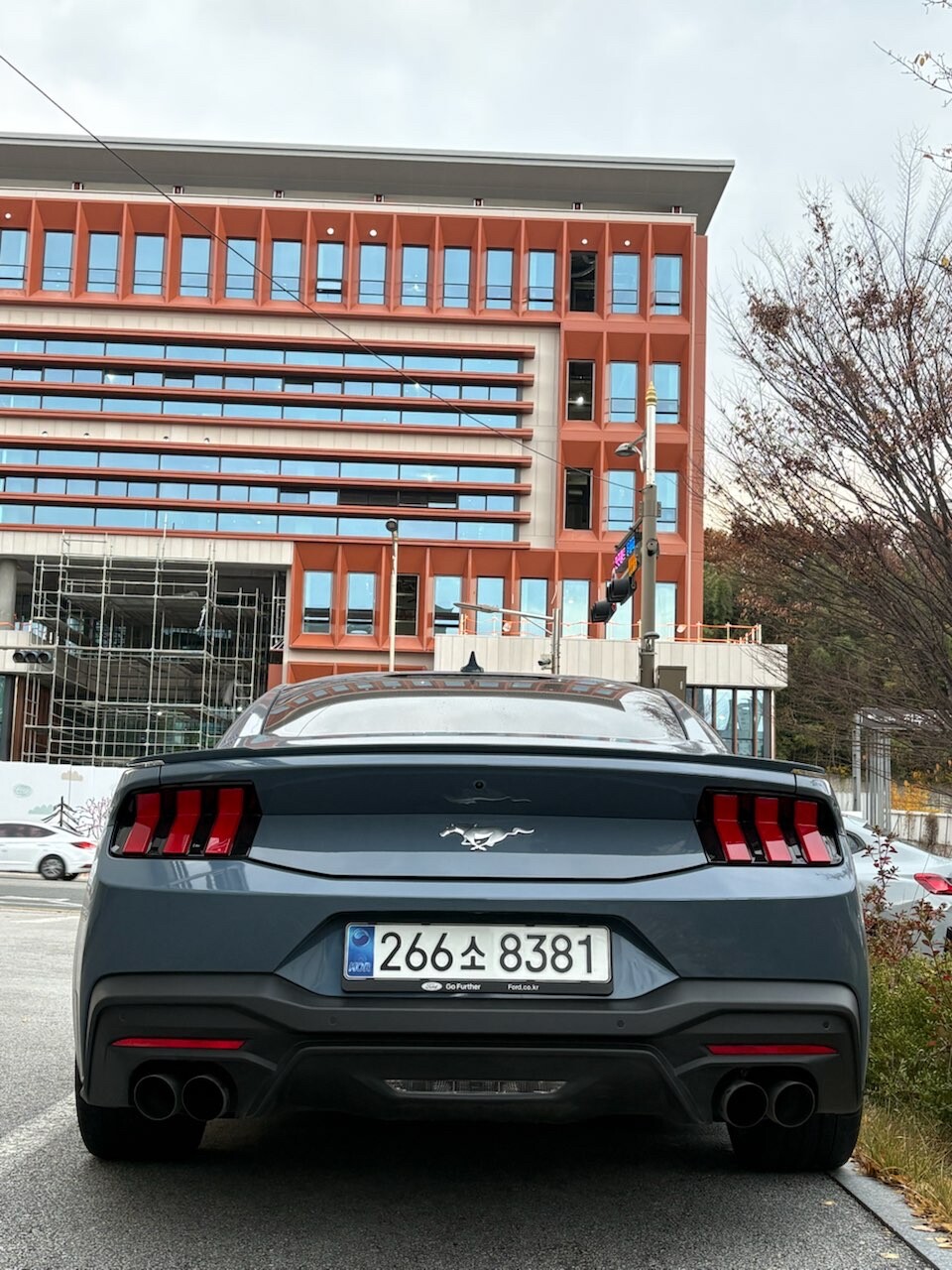 7세대 머스탱 에코를 고민한다면 이미지2