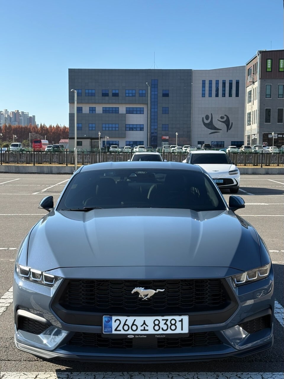 7세대 머스탱 에코를 고민한다면 이미지1