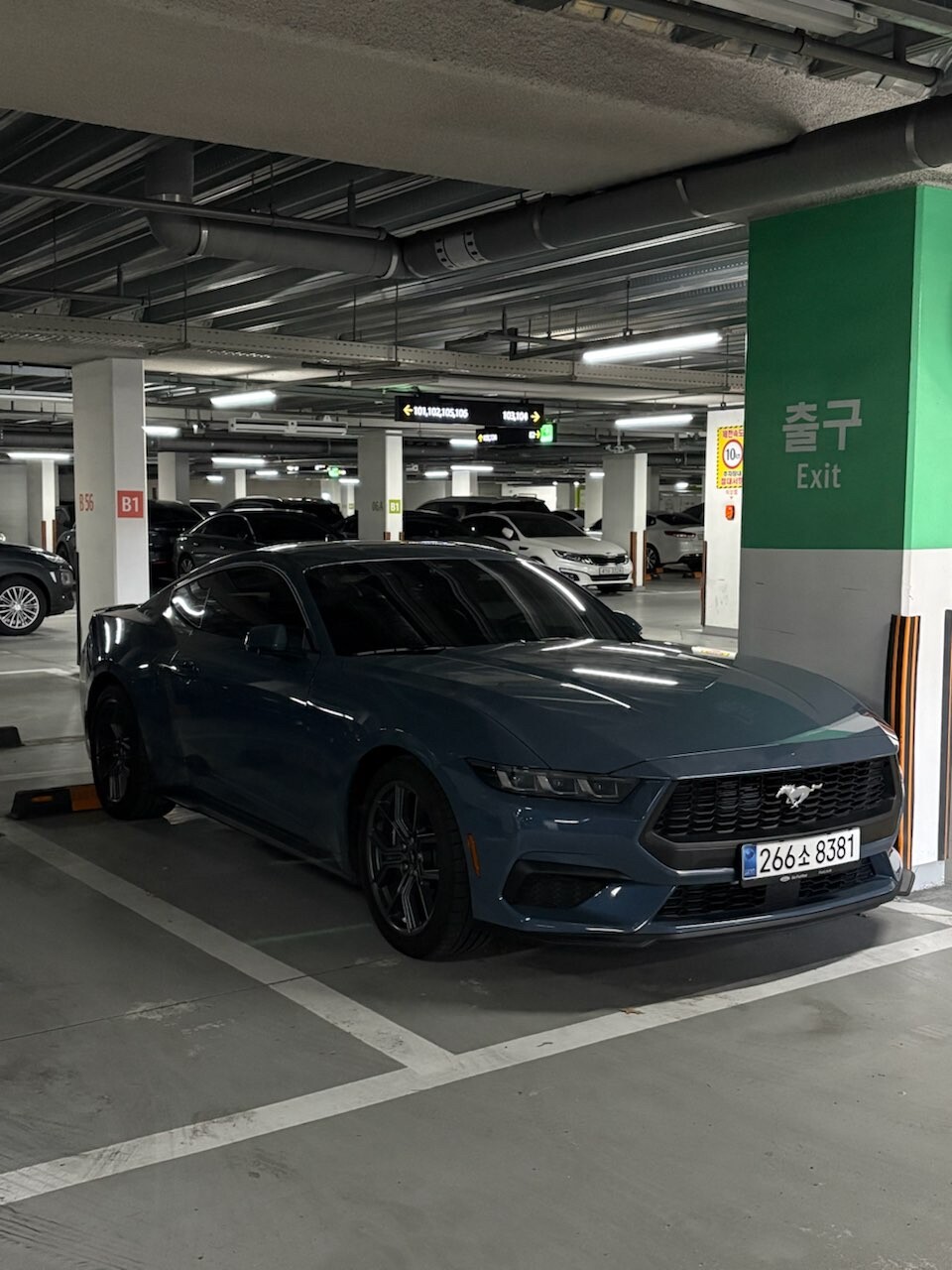 7세대 머스탱 에코를 고민한다면 이미지4