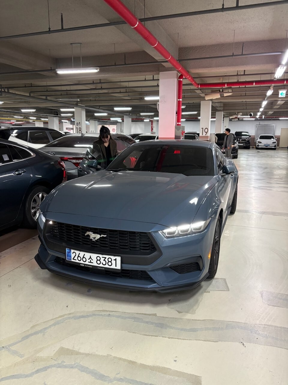 7세대 머스탱 에코를 고민한다면 이미지6