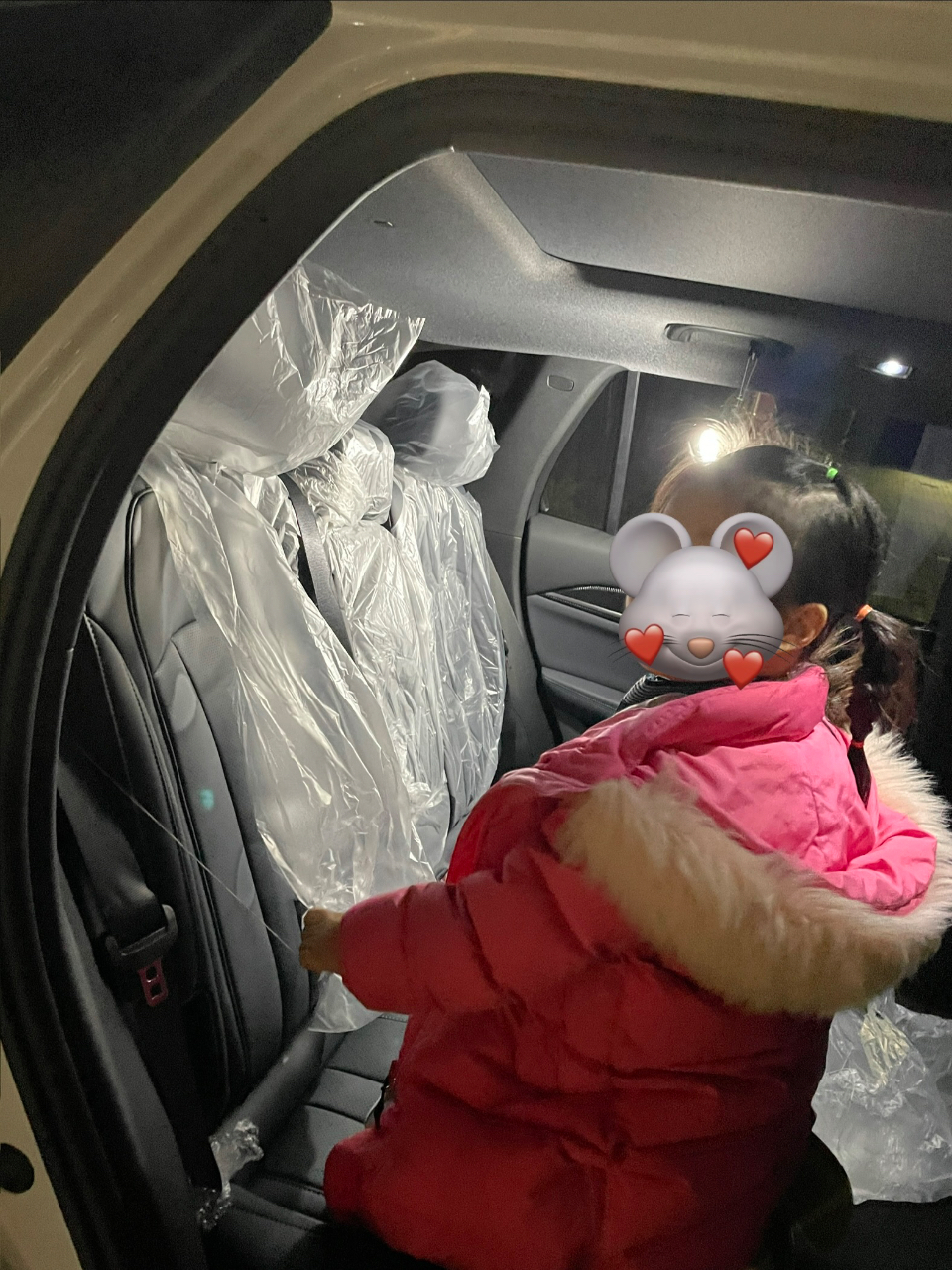 오너가 올린 차량 사진