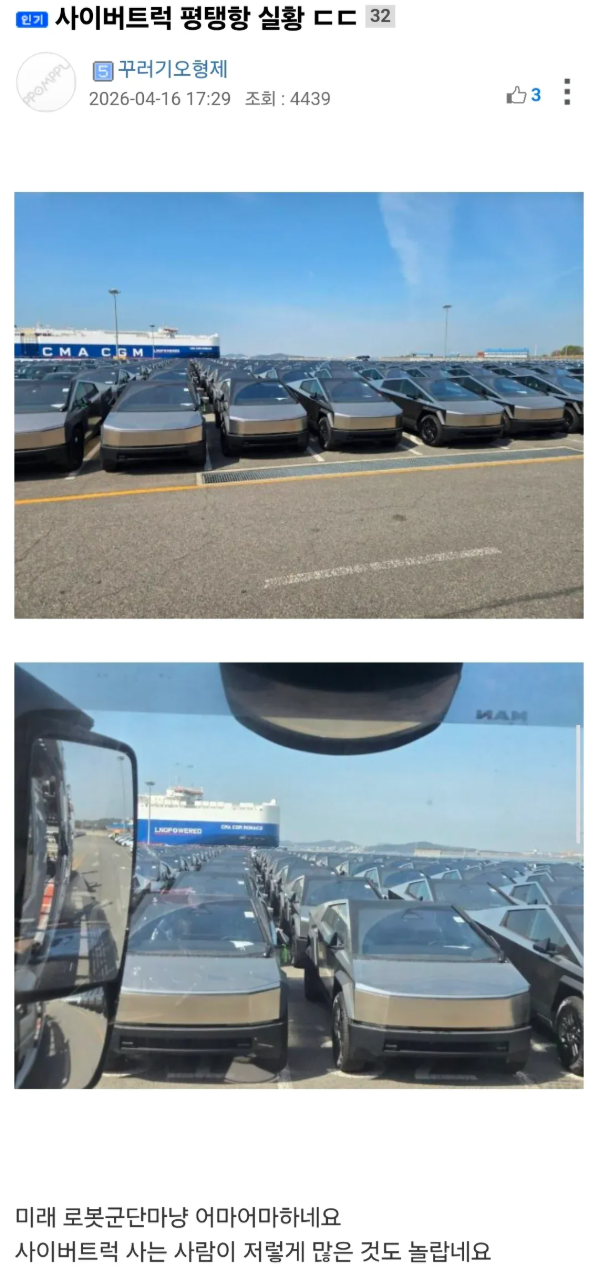 평택항에 입항된 사이버트럭 군단. jpg 게시글 썸네일