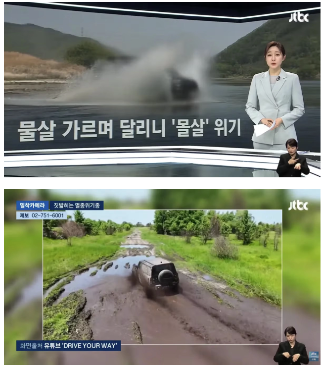 오프로드 동호회에 짓밟히는 멸종위기종 물고기.jpg 게시글 썸네일