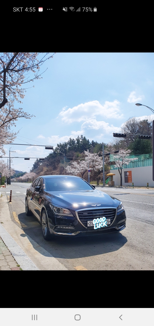 제네시스 G80 디젤 2.2 AWD 게시글 썸네일