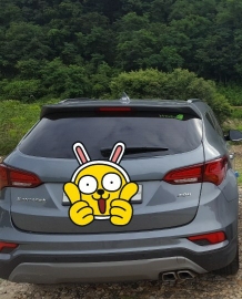 현대 싼타페 2.2 디젤 프리미엄 5인승 2WD 썸네일 이미지