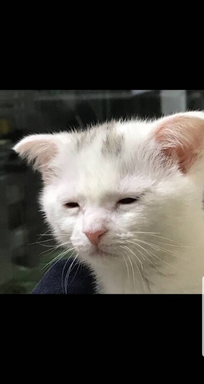 댓글 이미지