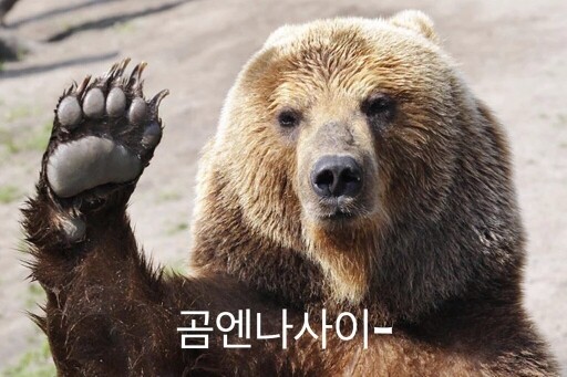 댓글 이미지