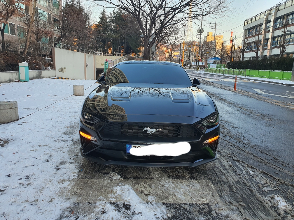 포드 머스탱 2.3 에코부스트 프리미엄 쿠페 게시글 썸네일