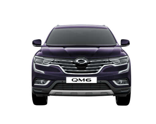 르노코리아 QM6 2.0 dCi 2WD RE 시그니처 클라우드 펄