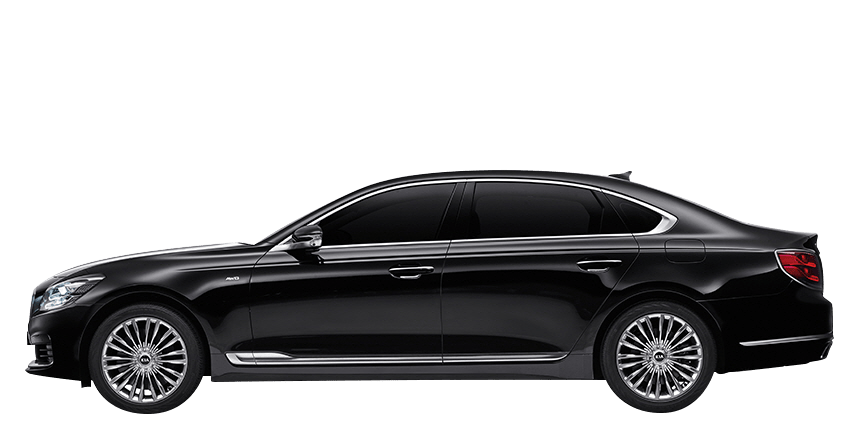 스노우 화이트 펄 익스테리어