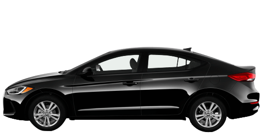 폴라 화이트 익스테리어