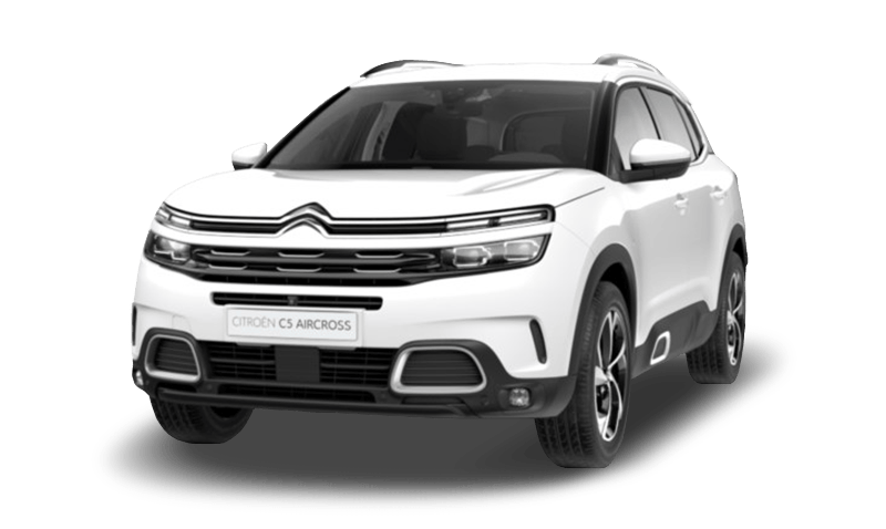 폴라 화이트 익스테리어