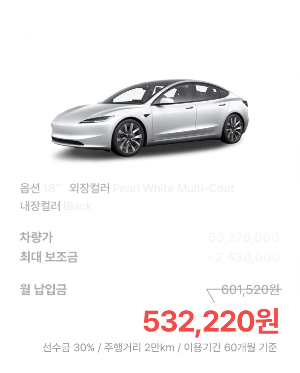 Tesla Model 3 옵션 2