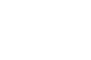 Tesla Logo