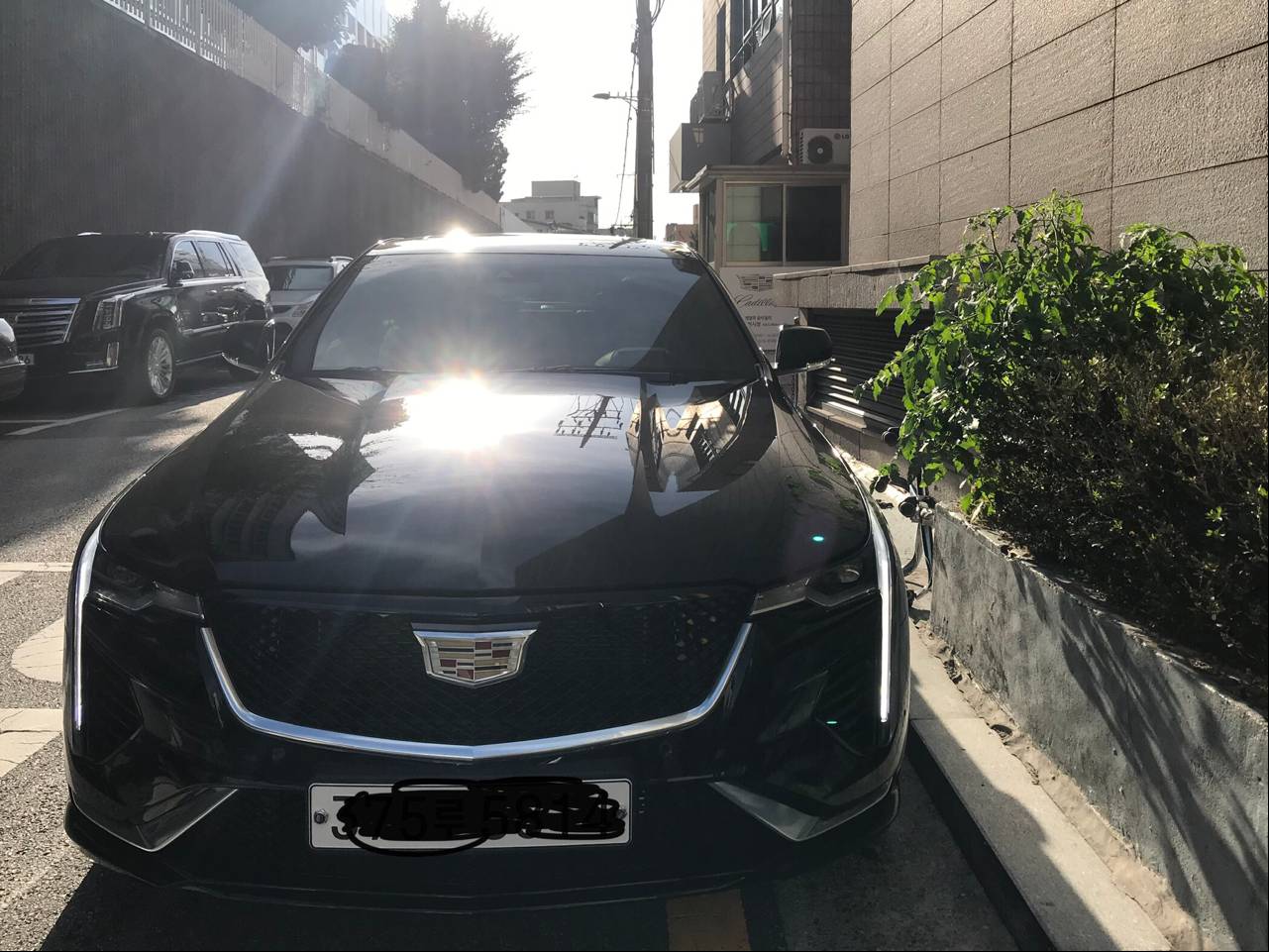 오너가 올린 차량 사진