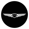 GENESIS_V2 로고 이미지